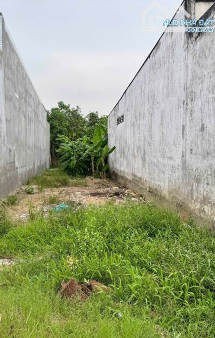 🔰 Bán nền: 150m² (4.9m x 30m, thổ 102m²) 🔰 Đường Cái Tôm (xã Hòa An, TP. Cao Lãnh cũ) - 1