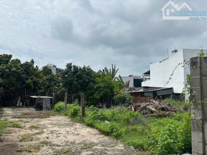 Bán 90m2 đất full ODT Hẻm Nguyễn Trãi - Bình Tân - LaGi gần chợ giá rẻ - 1