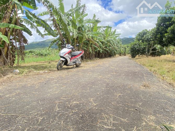 👉Đường nhựa tận nơi. Bán đất đường Đinh Công Tráng, Lộc Châu, phường 3 Bảo Lộc. - 1