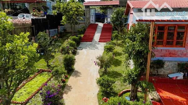 bán nhà vườn 1151m2 tà nung đà lạt 10 tỷ 500 triệu -cách trung tâm đà lạt 16km - 12