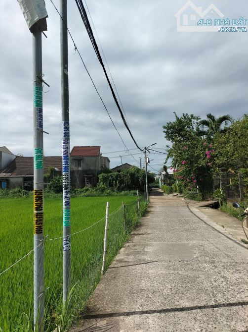 Bán đất view lúa cực đẹp – Hùng Vương, Hội An, sổ riêng, giá tốt - 2