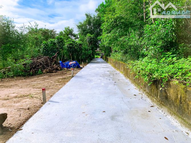Khu Phân lô Kiệt 86 Thiên Thai giá chỉ từ 6 triệu/m2 - 3