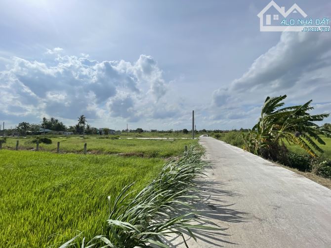 Đất thổ cư thành phố Tân An Long An - 2