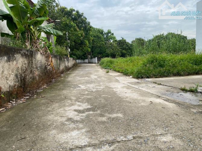 1.	🏡 Bán đất thổ cư 61m² tại Chương Lộc – Thường Tín, ô tô vào tận nơi - 2