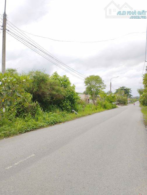 Bán đất Hương lộ 6, P. Tân Triều (Thạnh Phú cũ) 150m đường 8m - 2