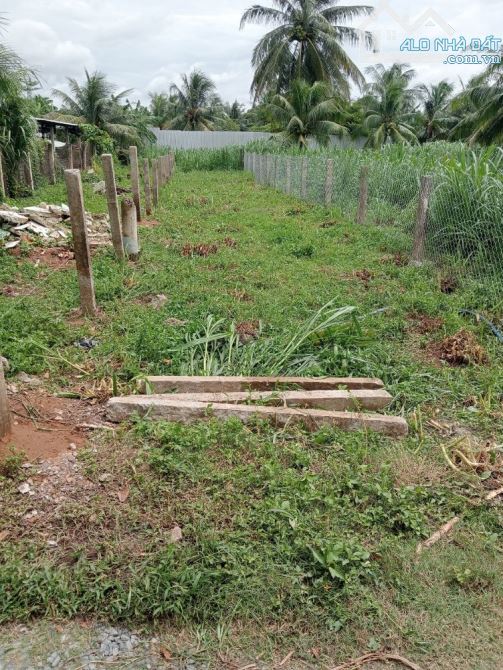 Đất thổ cư cách đường 1 quang 150met. Gần ozon - 2