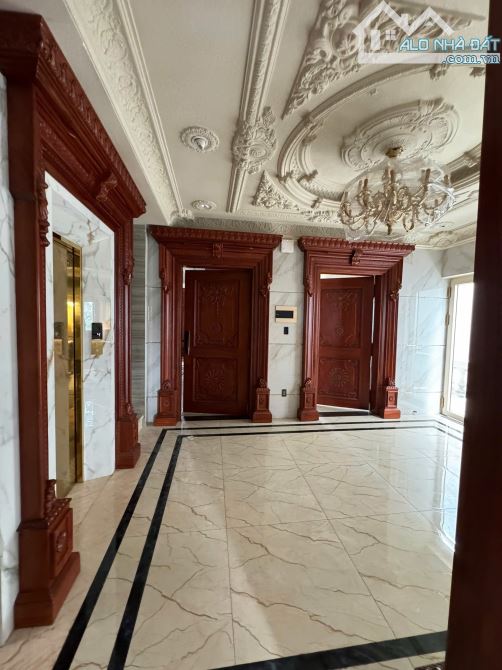 Bán biệt thự phong cách Châu Âu, 500m2, Bình Trị Đông B, Bình Tân - 2