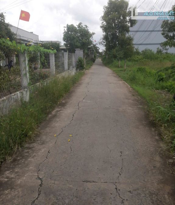 💎 Bán đất thổ cư (5 x 35m) khu trung tâm đường xe hơi vivu Phường Long Thuận, TP Gò Công - 2