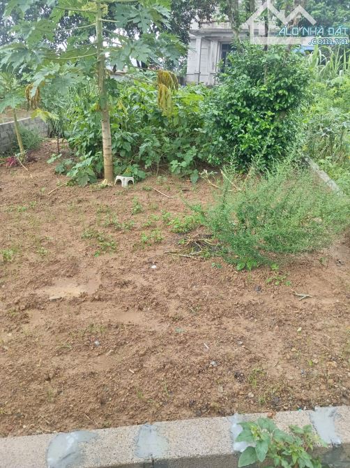 Bán 62m2 Tân Xã _ Thạch Thất giáp khu đấu giá Tân Xã - 2