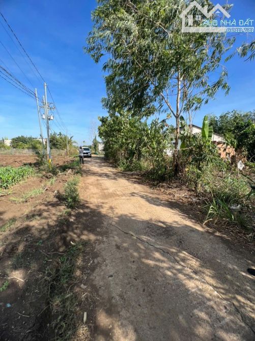 Đất xã xuân đông 1467m² full hồng vuông vắn - 3