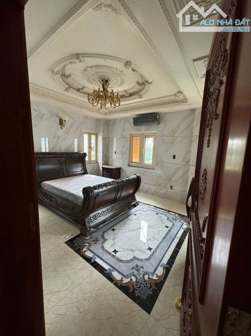 Bán biệt thự phong cách Châu Âu, 500m2, Bình Trị Đông B, Bình Tân - 3