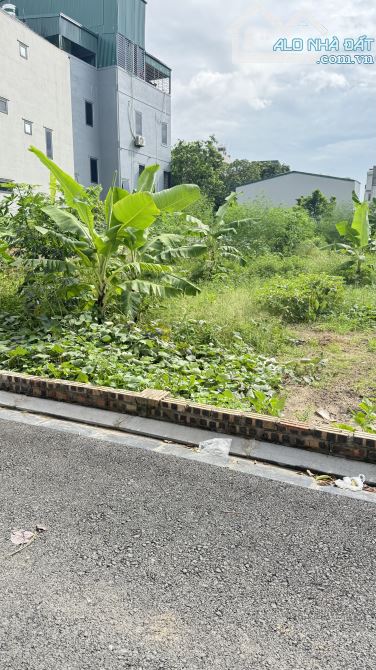 Gia đình cần bán nhanh mảnh đất diện tích 52m², vị trí đẹp tại Mai Lâm, Đông Anh. - 3