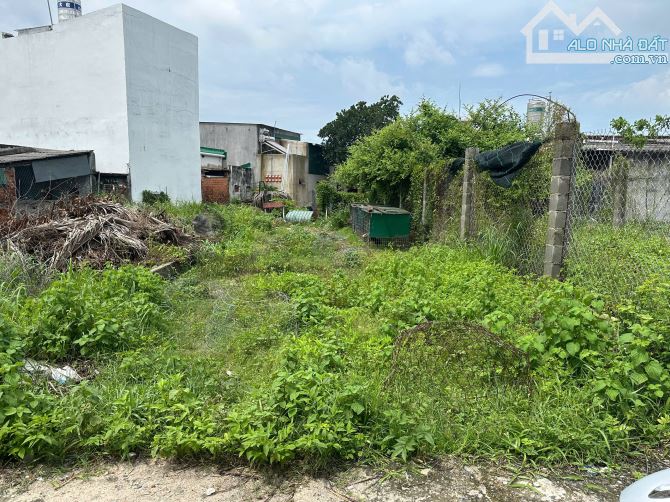 Bán 90m2 đất full ODT Hẻm Nguyễn Trãi - Bình Tân - LaGi gần chợ giá rẻ - 3