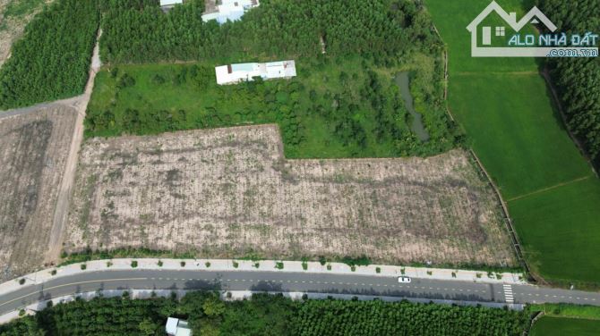 Cần bán Siêu phẩm 1 mẫu 1 tại Phước Long Thọ - Thị trấn Đất Đỏ - 3