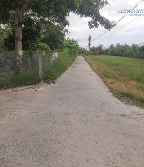 💎 Bán đất thổ cư (5 x 35m) khu trung tâm đường xe hơi vivu Phường Long Thuận, TP Gò Công - 3