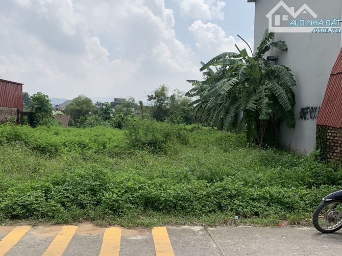 Bán Đất – Thanh Trí (Xã Minh Phú – SS )- 233m²- 6,05Tỷ - Trục Chính Thôn- Full Thổ Cư. - 1