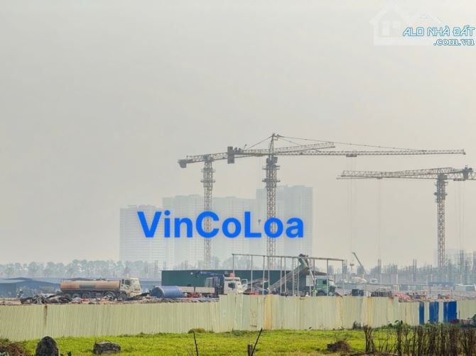 SIÊU PHẨM ĐẤT ĐẤU GIÁ XUÂN TRẠCH CƠ HỘI ĐẦU TƯ VÀNG - ĐẦU TƯ SINH LỜI CAO, AN CƯ LÝ TƯỞNG - 4