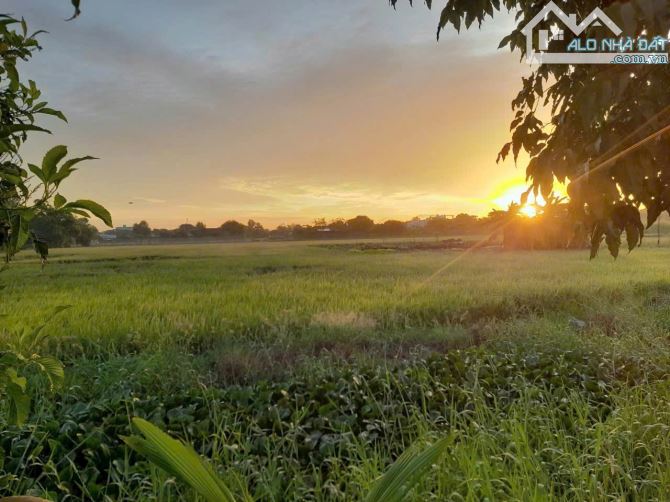 Hàng thơm, 150m2 đất thổ cư view kênh cực đẹp chỉ 420tr - 5