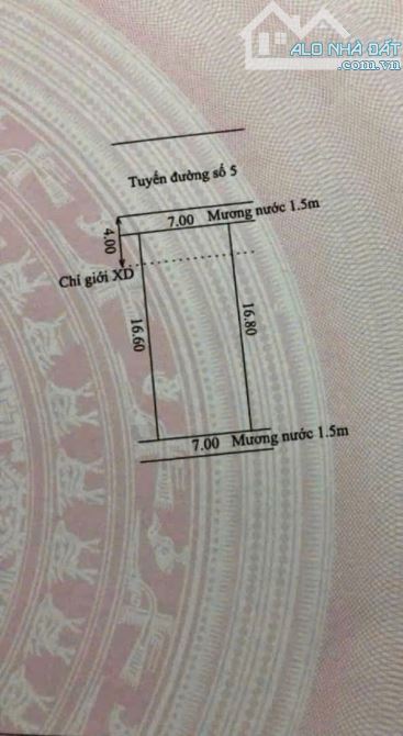 🎯🎯ĐẤT MẶT TIỀN KIM DIỆU –  NGỌC ANH, TP HUẾ - 5