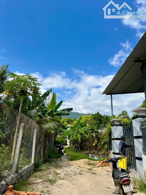 Bán đất thổ cư 431m2 Xuân Phú 1, Suối Tiên, Diên Khánh, Khánh Hòa - 6