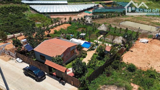 bán nhà vườn 1151m2 tà nung đà lạt 10 tỷ 500 triệu -cách trung tâm đà lạt 16km - 9
