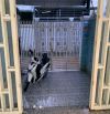 CHO THUÊ NHÀ TRỆT 1 LẦU RỘNG ĐẸP - CẠNH VÒNG XOAY HOÀNG QUỐC VIỆT, NINH KIỀU