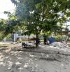 Hàng hiếm - Bán đất đường Hồ Tùng Mậu - 2 lô liền kề, đường 10m5, DT 10x23,5m