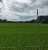 Bán đất view lúa cực đẹp – Hùng Vương, Hội An, sổ riêng, giá tốt