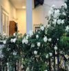 BÁN BIỆT THỰ SÂN VƯỜN ĐÀ LẠT ĐƯỜNG NGÔ TẤT TỐ TIỆN KINH DOANH NGHỈ DƯỠNG