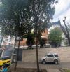 Dinh thự bề thế khu "Đệ Nhất Khách Sạn" | 36x20m | 4 Tầng | Khuôn viên 720m2 |