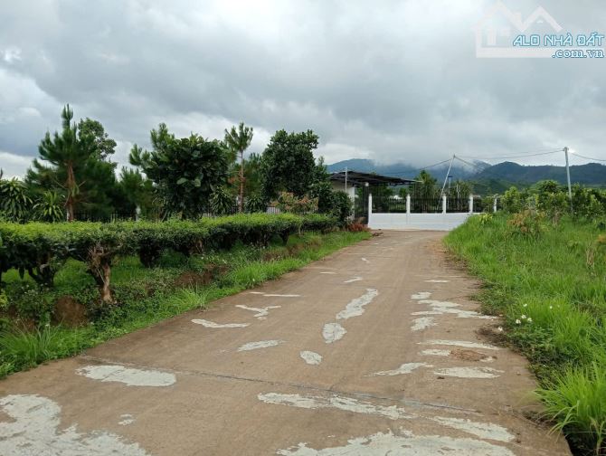 2.5 sào Bảo Lộc, hơn 100m mặt đường betong.