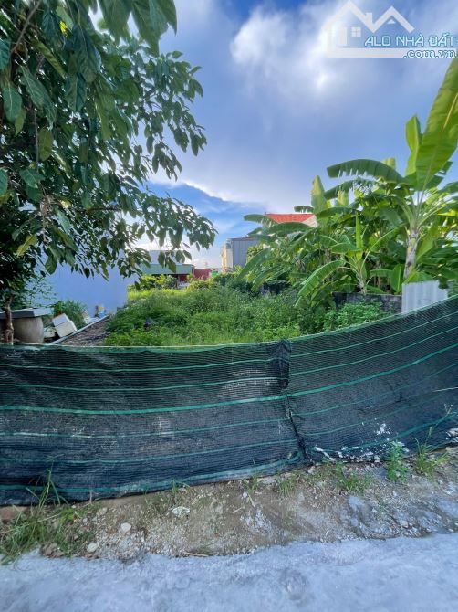 🌳Bán 69m2 đất Tê Chử - An Hải(Đồng Thái cũ) - An Dương