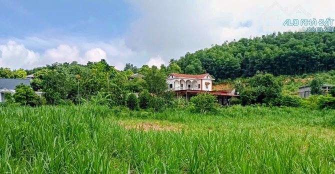 Đất đẹp Minh Quang, Ba Vì, 2010m, view đồng, gần chợ, 200m ra TL 415, chỉ 2.9tỷ