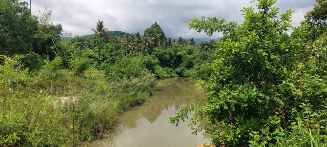 Đất xây nhà vườn view suối, 1100m2 có 400m2 đất ở ngang rộng rãi 50m, hiếm có khó tìm - 2