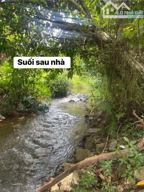 Đất xây nhà vườn view suối, 1100m2 có 400m2 đất ở ngang rộng rãi 50m, hiếm có khó tìm - 1