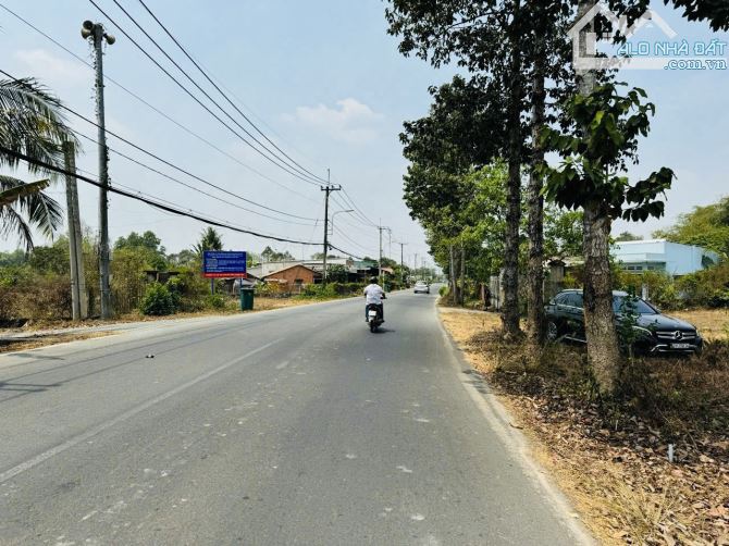 Đất bán mặt tiền đường Cây Trôm Mỹ Khánh xã Thái Mỹ 5.21x56 278m2 Full Thổ xây dựng tự do