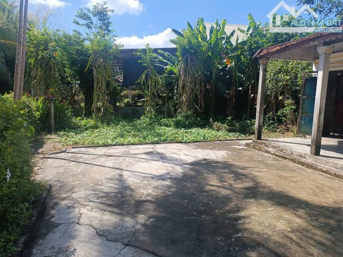 BÁN ĐẤT ĐẸP – VỊ TRÍ ĐẮC ĐỊA TẠI NAM TRẠCH, LỘC AN, HUẾ - 3