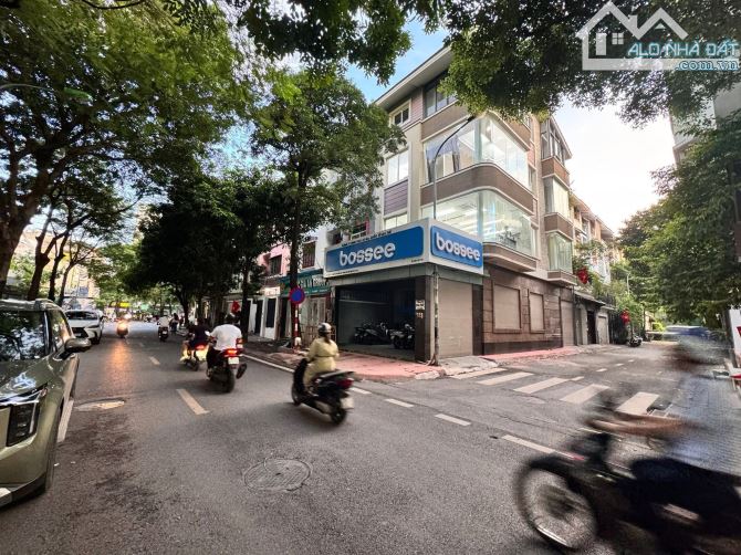 Cực hiếm Thọ Tháp - Cầu Giấy💥Cả phố 0 có nhà bán, DT 103m2 - 5T - MT6m, Oto tránh