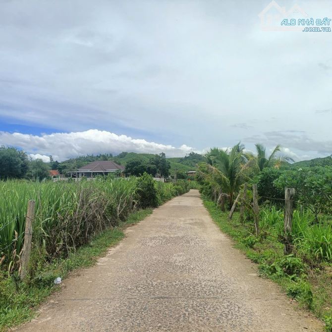 💥2000m2 Đất Diên Lâm (Thôn 5 Diên Đồng cũ) ngang 25m tách được 4 lô💥