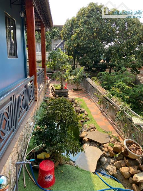 Nhà vườn villa mini trung tâm phố Gần Khu đấu Giá Trần Quý Cáp - Phường Tân Lập - BMT