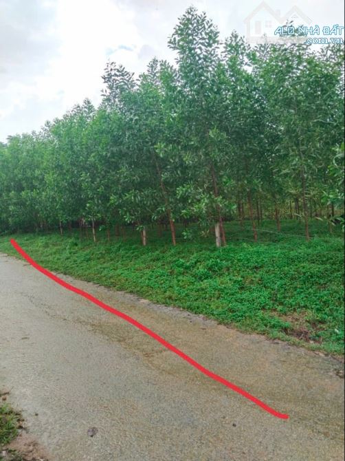 Đất Diện Tích Rộng Bình Thành_ Hương Trà_ Tp Huế