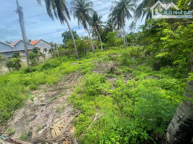 🌊 ĐẤT BIỂN BẮC VÂN PHONG – CÁCH BIỂN CHỈ 50M 🌊