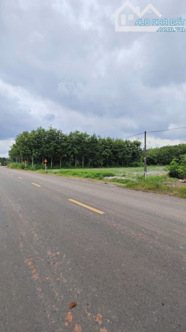 Đất Ngay Ngã Tư Chơn Thành,Chỉ Cần Bỏ Ra 235 Triệu Sở Hữu Ngay