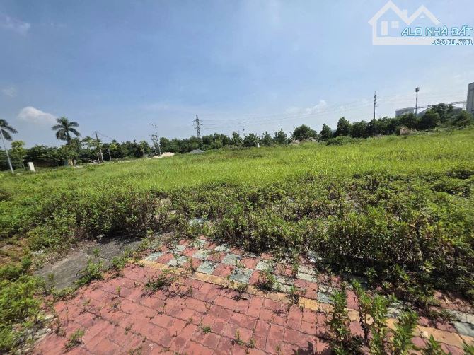 🏡 Bán đất 56m² việt Hưng hiếm, ô tô vào tận nơi, thoáng đẹp đất lành – Giá 3.79 tỷ