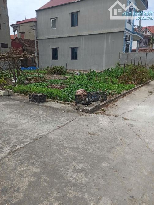 🌟 BÁN ĐẤT NGHĨA ĐẠO – THUẬN THÀNH, BẮC NINH – 82M² – GIÁ CHỈ 2.5 TỶ 🌟