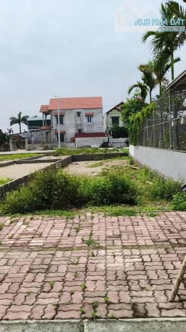 Bán đất đấu giá Ân Thi Hưng Yên vỉa hè 5 mét giá đầu tư.