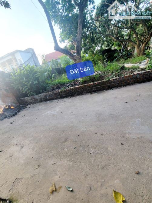 🔥 CƠ HỘI ĐẦU TƯ ĐẤT MỄ SỞ – VĂN GIANG – HƯNG YÊN 🔥