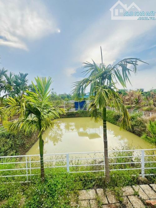 🌿 BÁN 3.8 SÀO ĐẤT ÔM SUỐI – P. KHÁNH XUÂN, TP. BMT 🌿