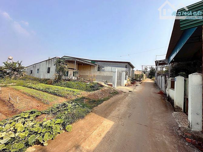 LÔ THỔ CƯ TÂN HOÀ - BMT - ĐAKLAK 1 Tỷ 050 triệu