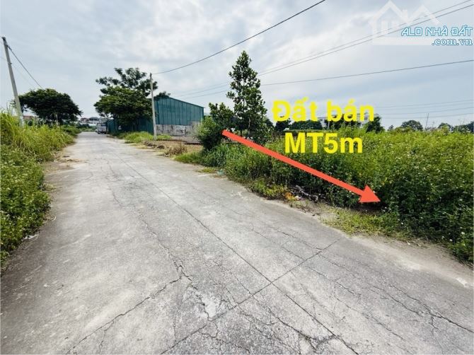 🔥 BÁN ĐẤT THUẬN THÀNH – BẮC NINH – 90m2 – Ô TÔ TRÁNH – NẰM TRÊN CT HÀ NỘI – SÂN BAY GIA B